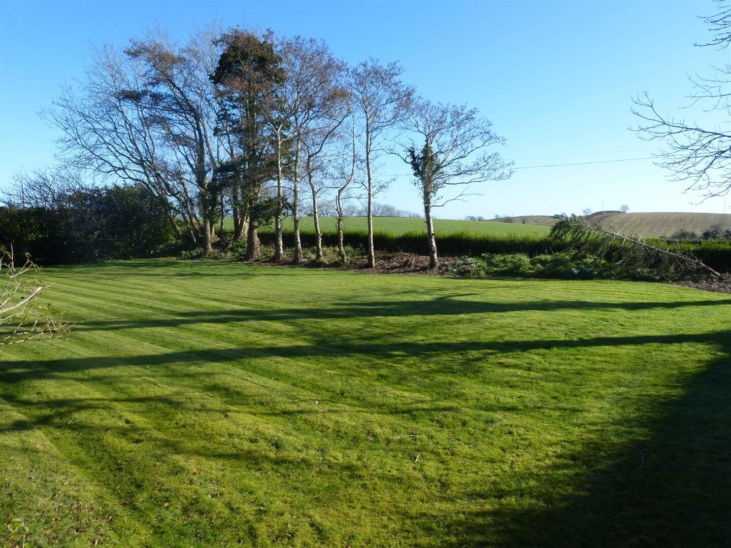 Castle Espie Farm 1, 11 Ballyglighorn Road 16 of 18