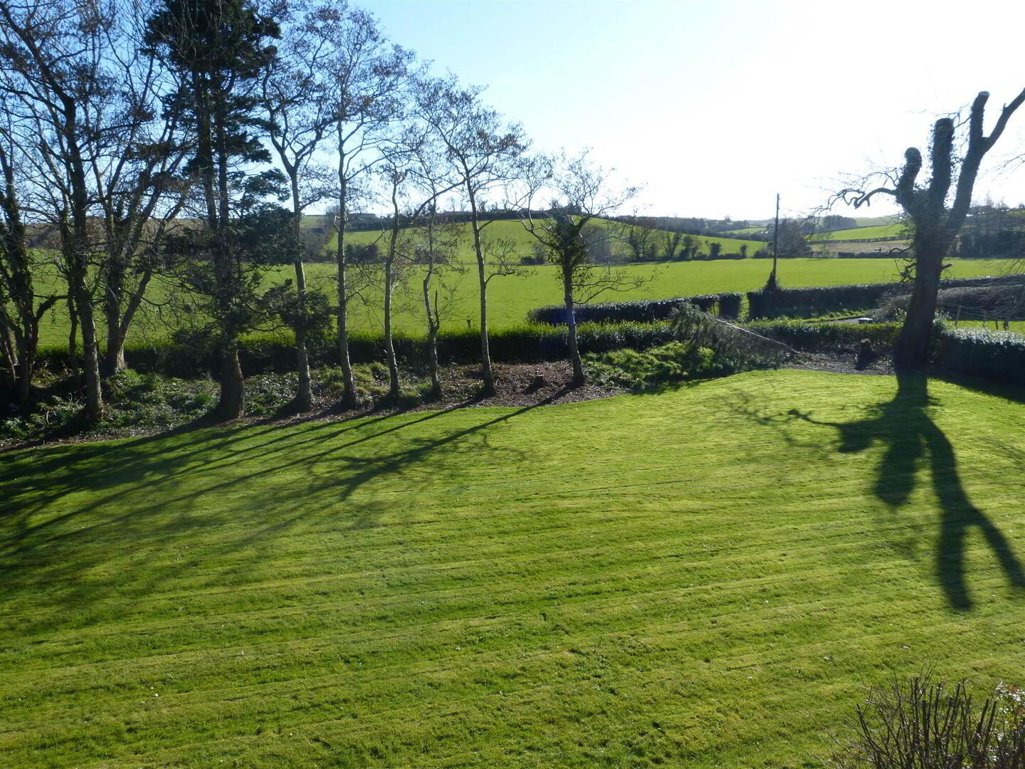 Castle Espie Farm 1, 11 Ballyglighorn Road 18 of 18