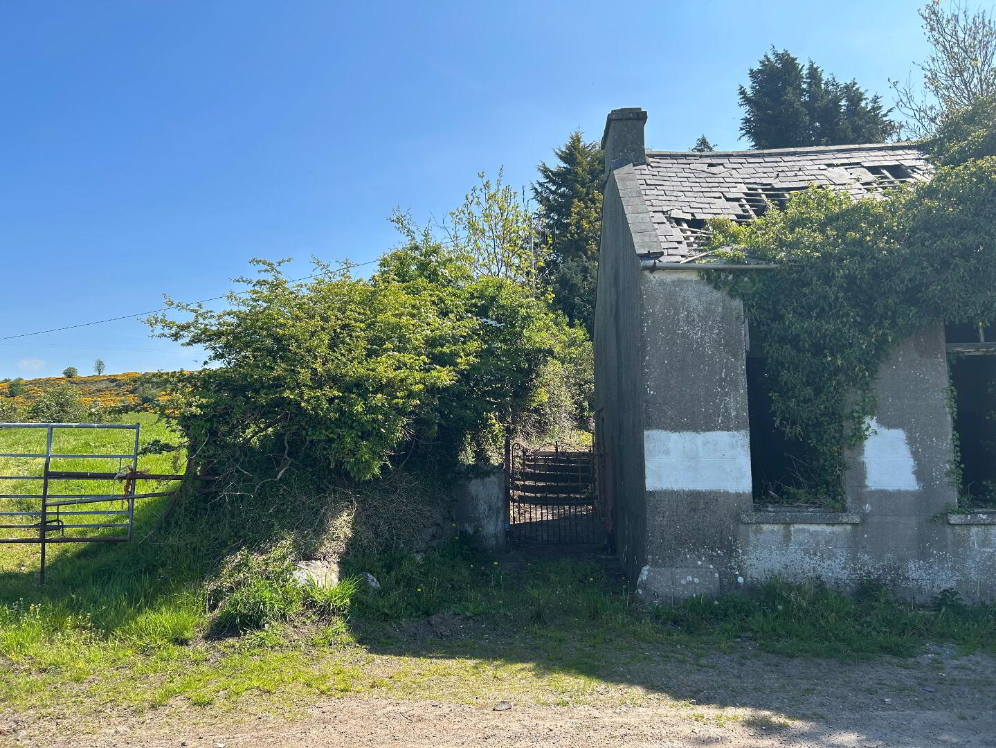 property description image