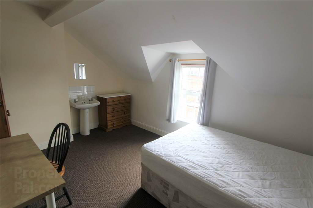 29 Landseer Street 11 of 11