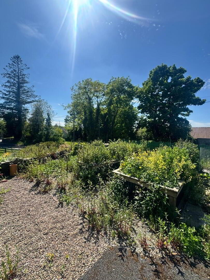 Blackberry Cottage, 56 Moneydig Road 30 of 36