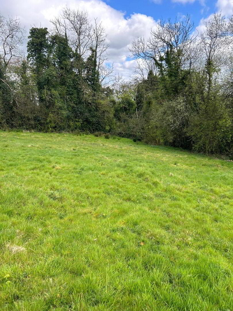 Carricklongfield Road 3 of 8