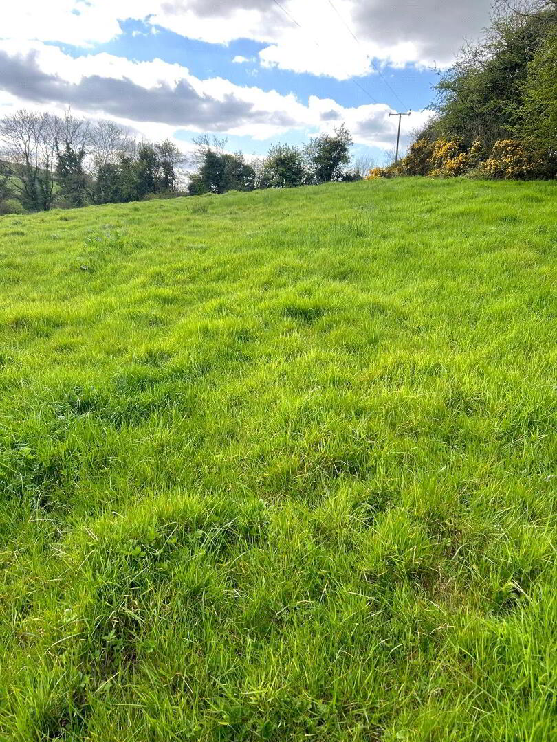 Carricklongfield Road 5 of 8