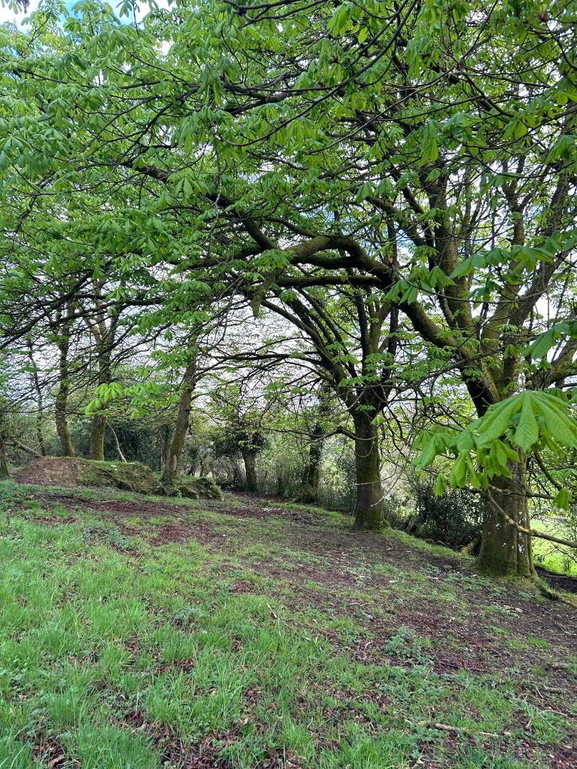 Carricklongfield Road 8 of 8