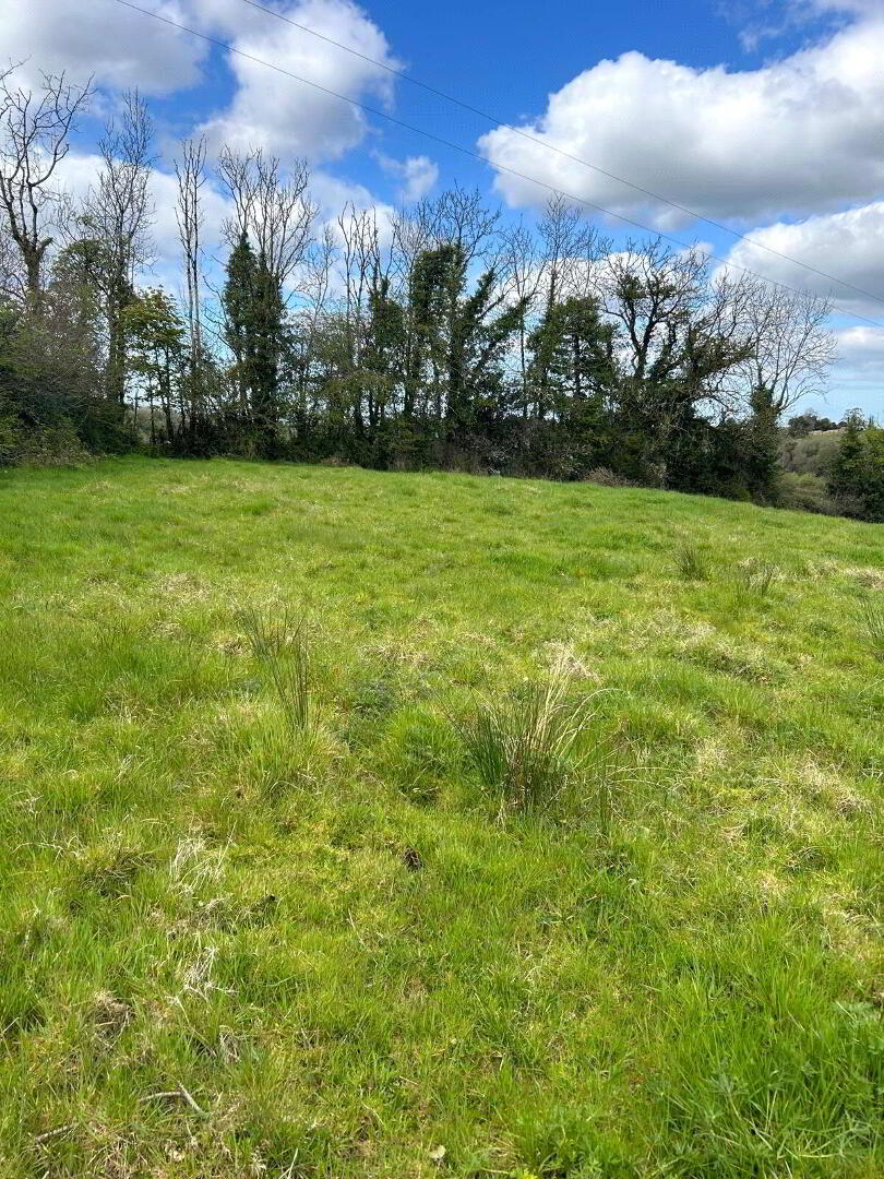 Carricklongfield Road 7 of 8
