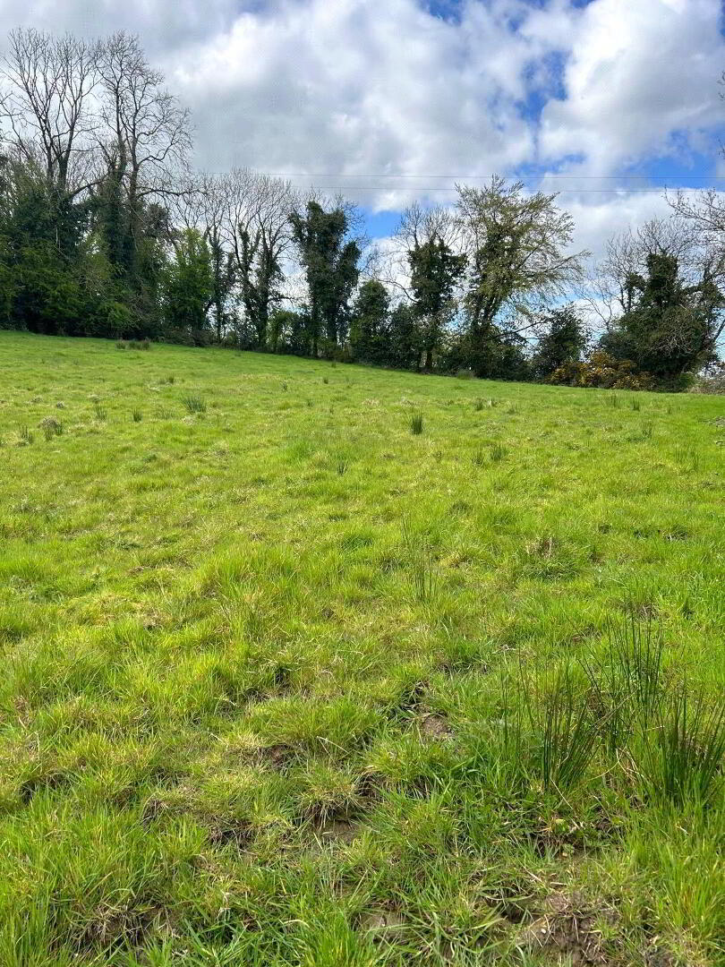 Carricklongfield Road 6 of 8