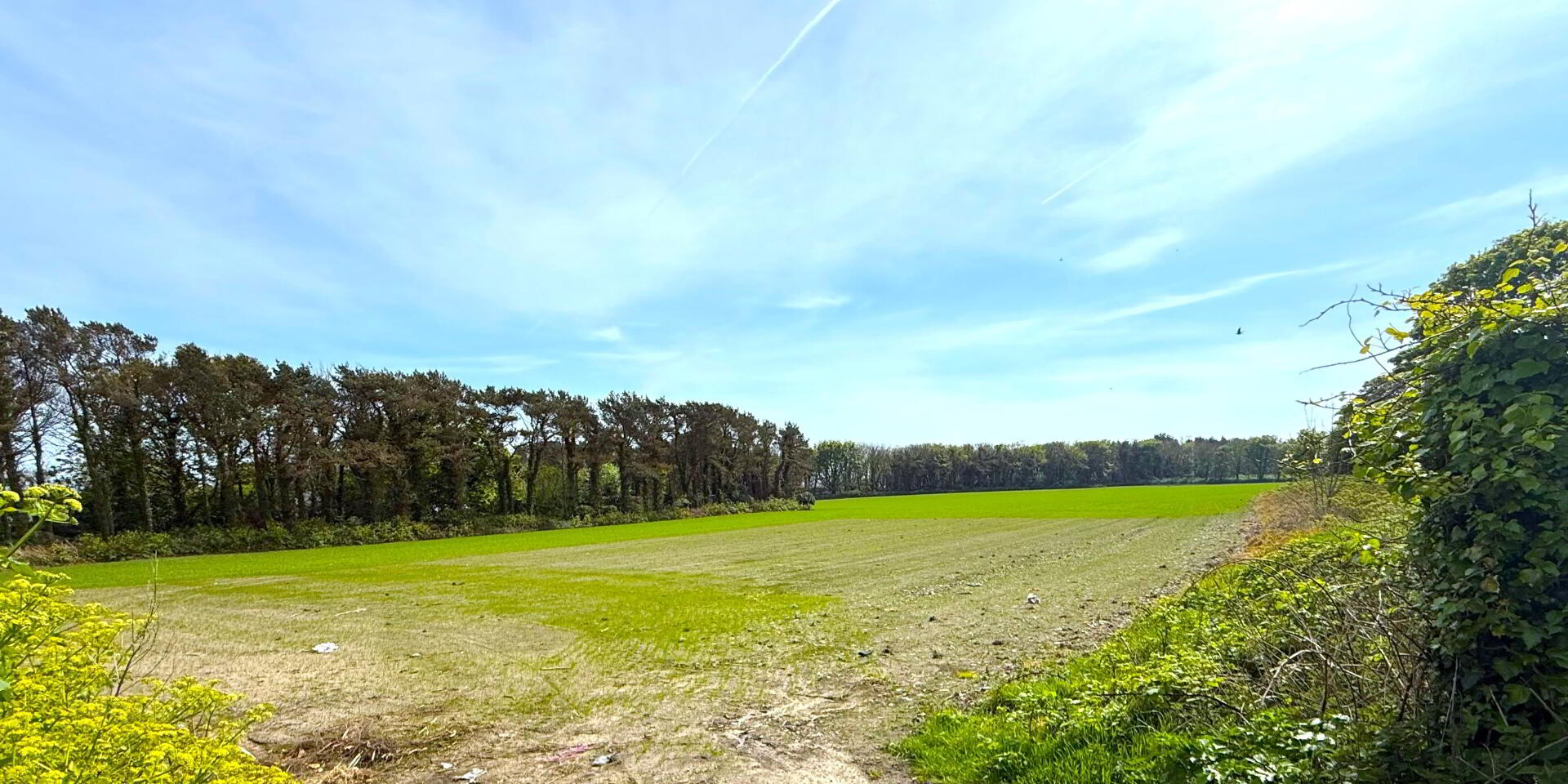 Site At 32 Springvale Road 4 of 6