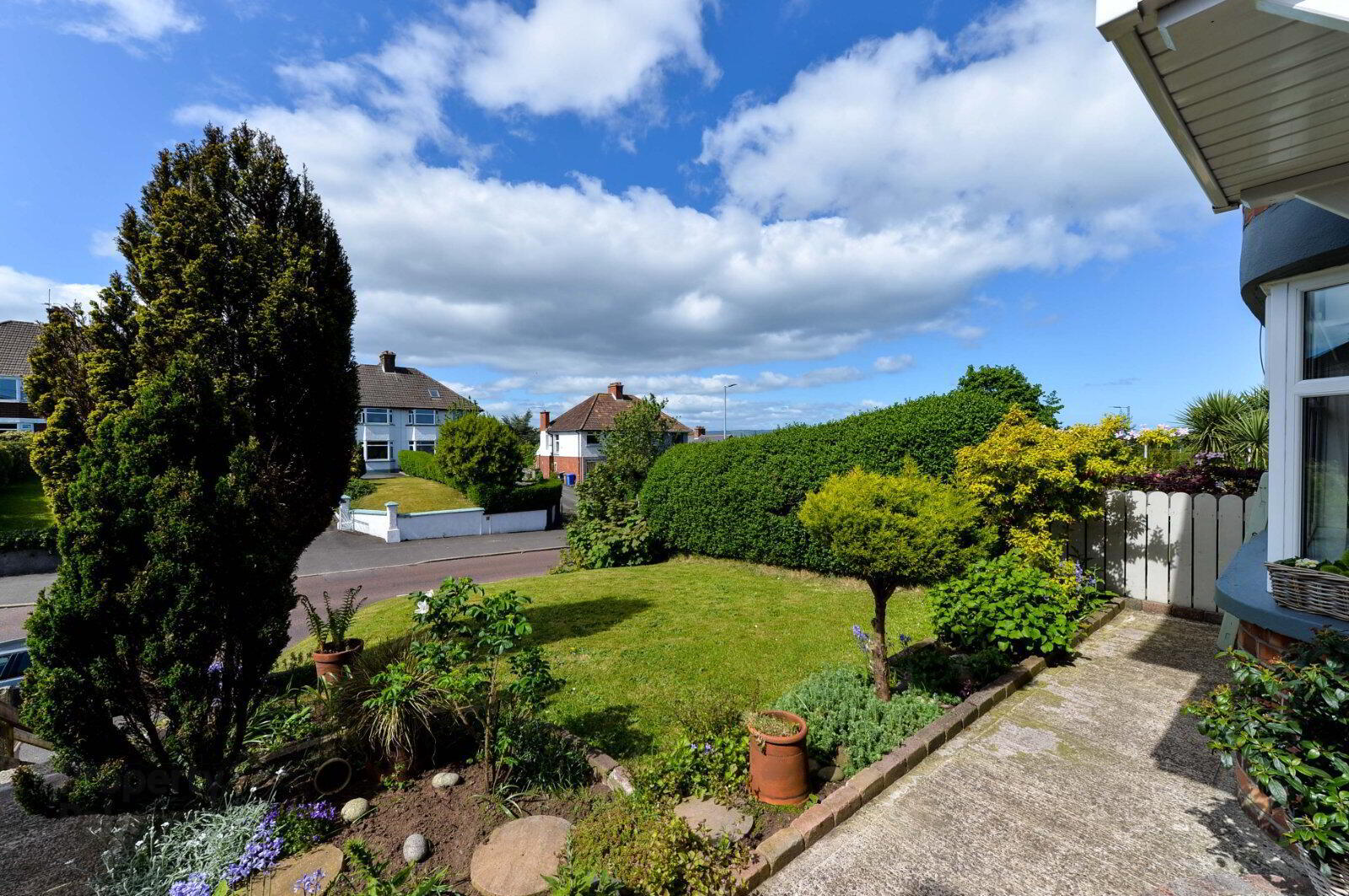 281 Holywood Road 3 of 30