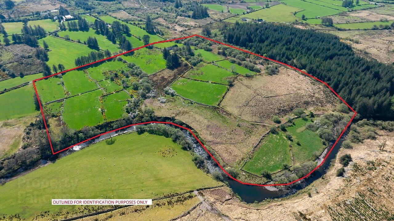 property description image