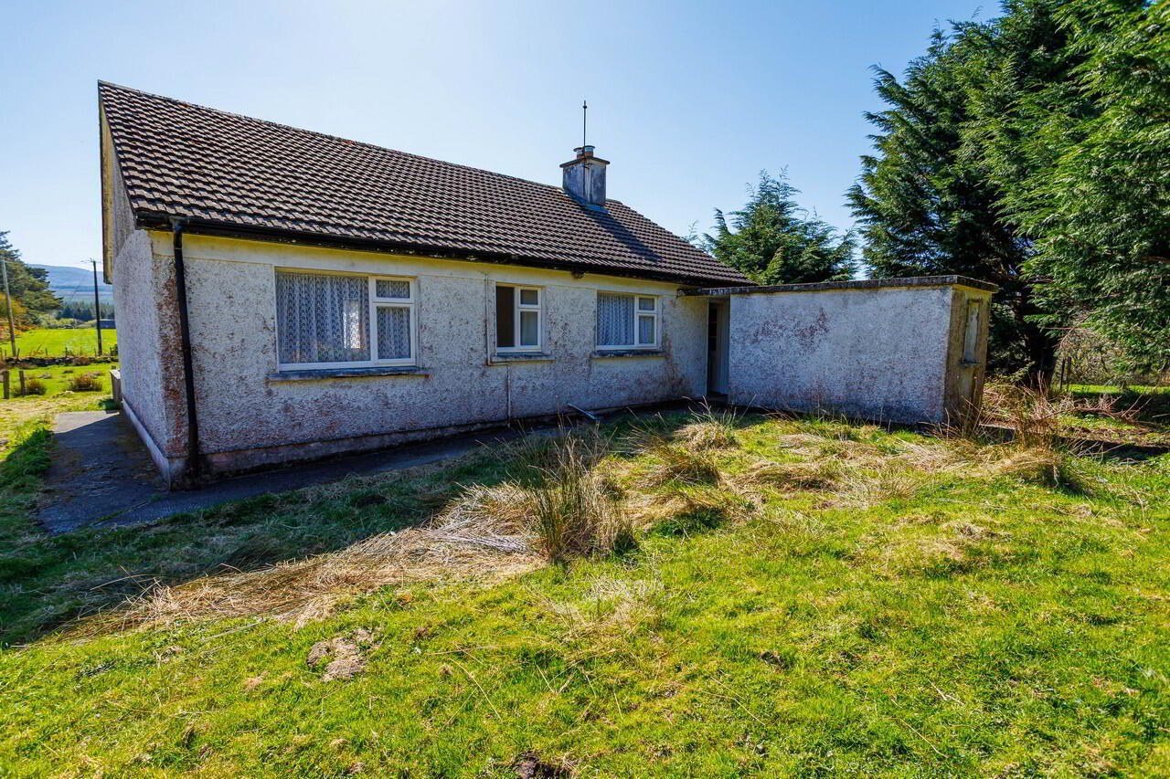 For Sale - Derreen 6 of 48