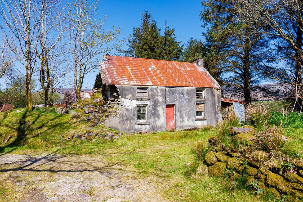 For Sale - Derreen 7 of 48