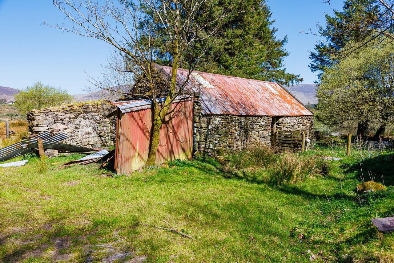 For Sale - Derreen 9 of 48