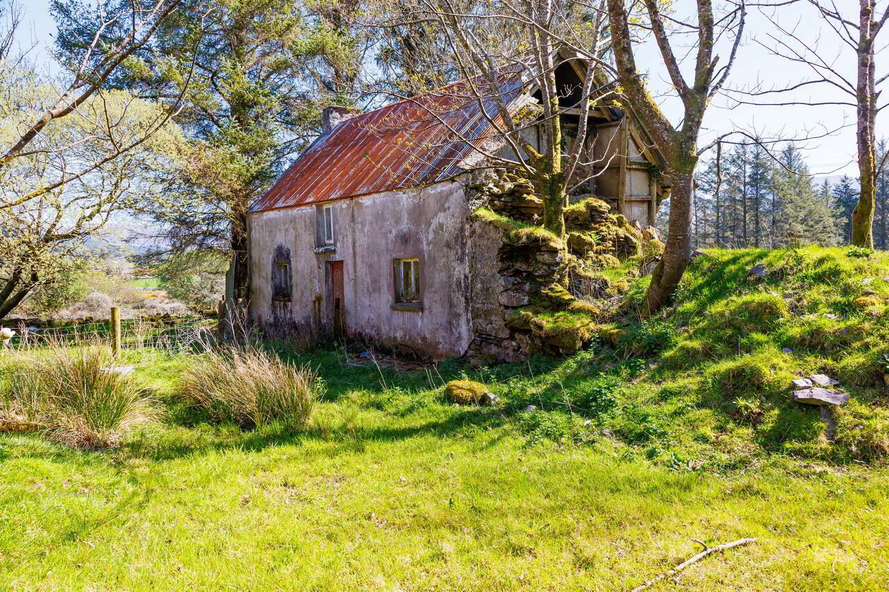 For Sale - Derreen 10 of 48