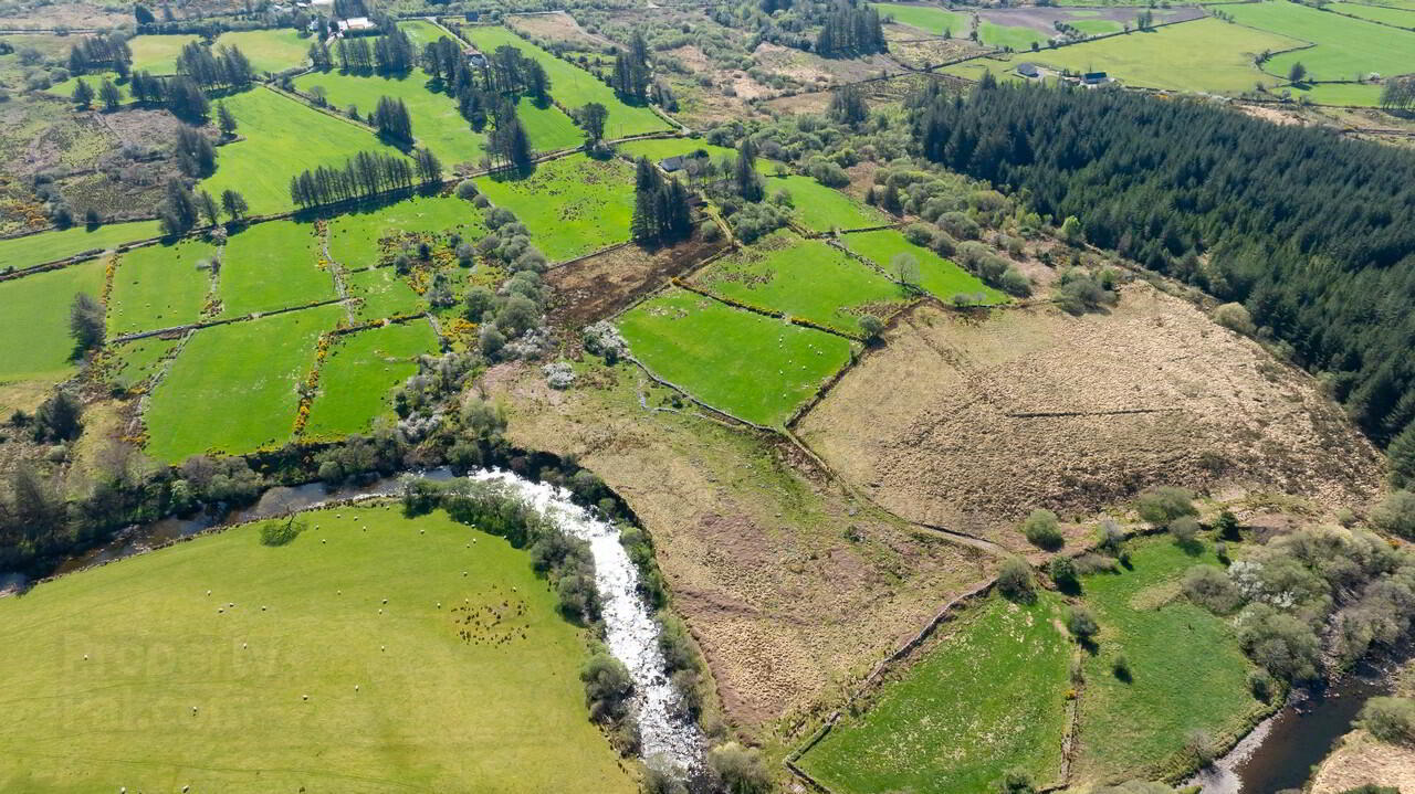 For Sale - Derreen 14 of 48