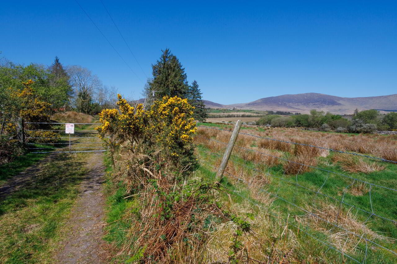 For Sale - Derreen 32 of 48