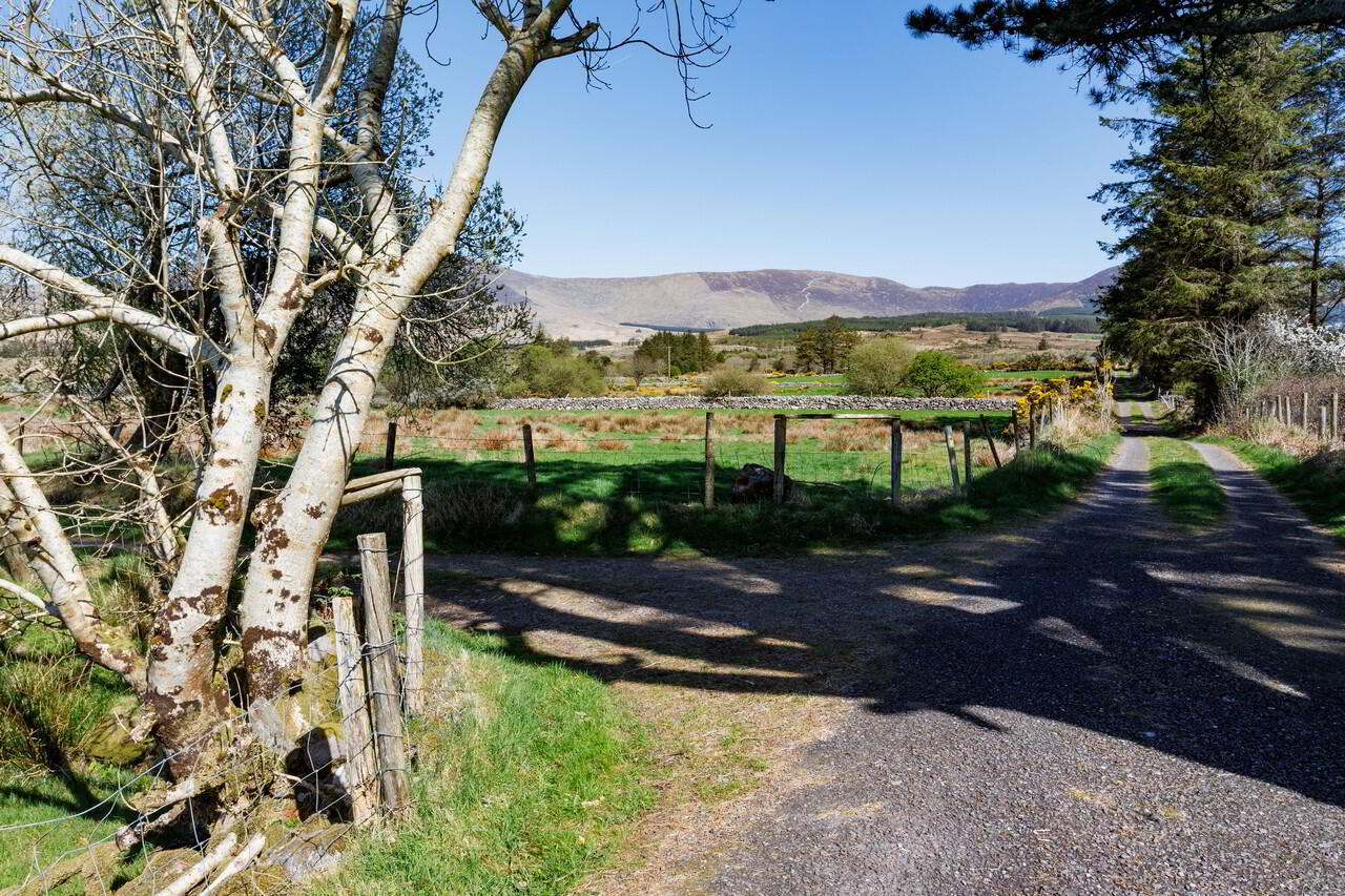 For Sale - Derreen 35 of 48
