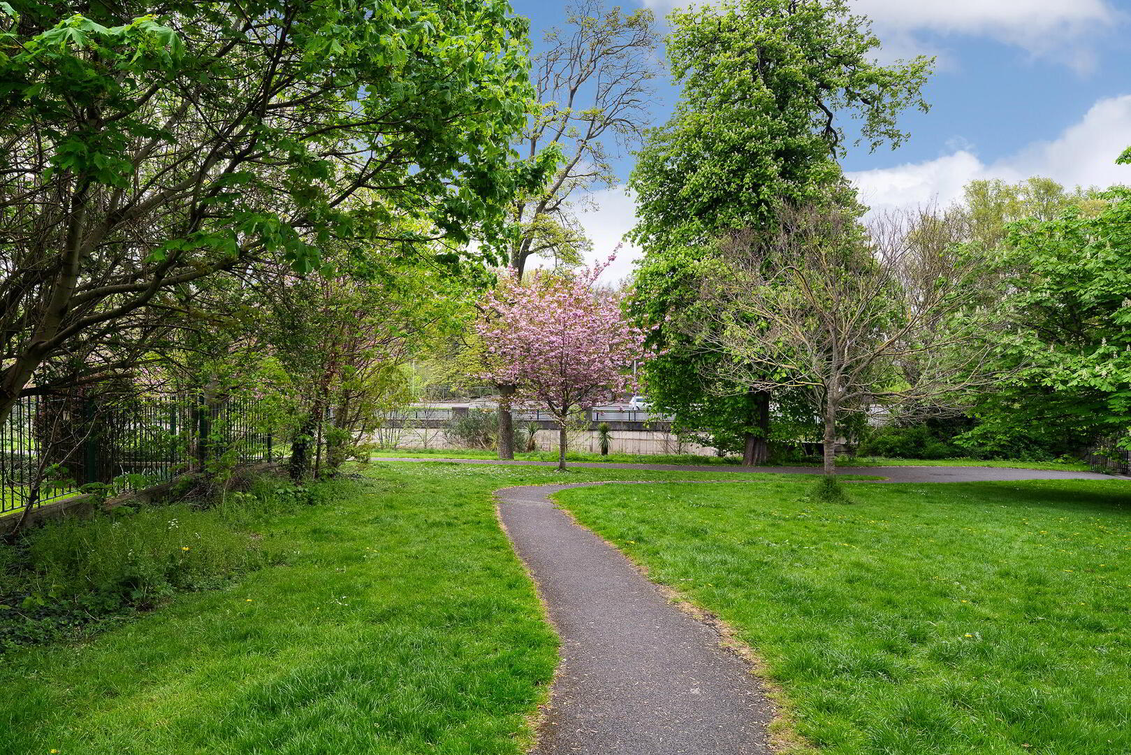 31 Glasnevin Woods 24 of 24