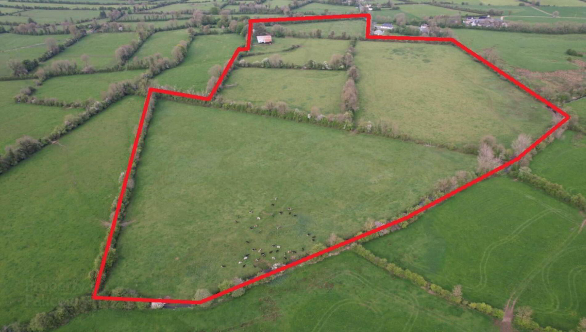 property description image