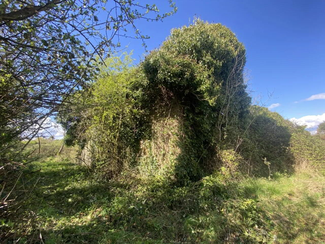 property description image