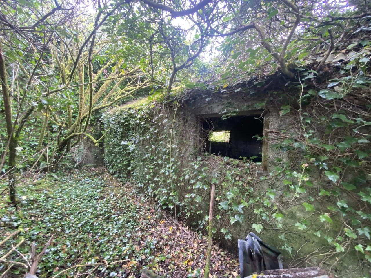 Dunganstown 6 of 7