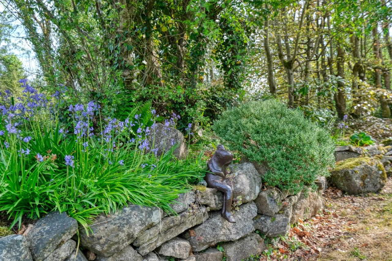 Carrickmoyragh 29 of 36