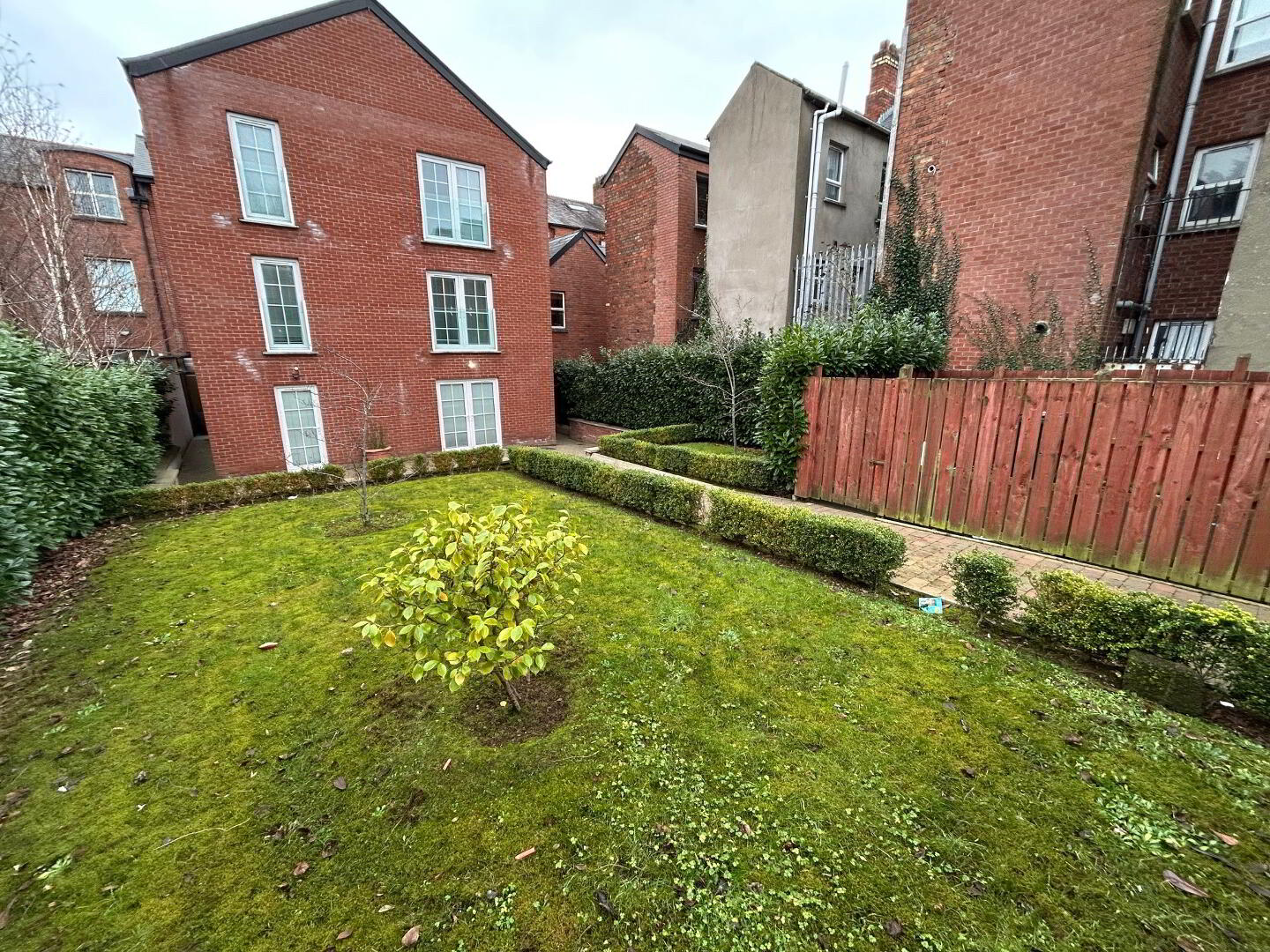 Apt 4, 44 Ulsterville Avenue 24 of 25