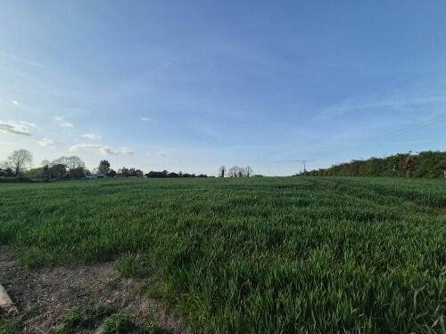 Rathmore 7 of 8