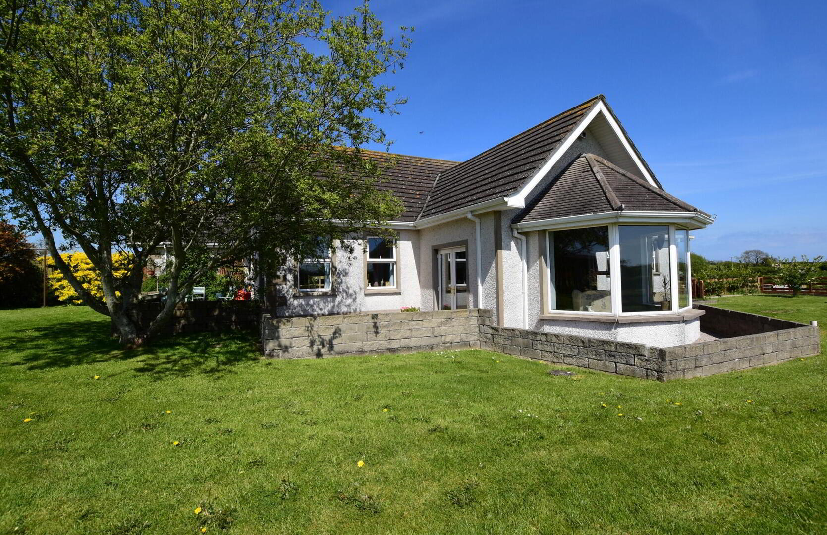 28 Manse Road 5 of 45