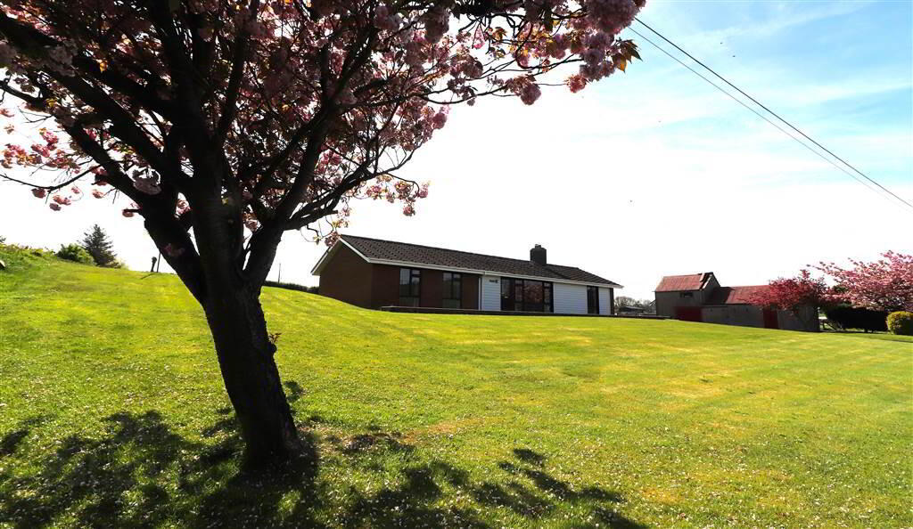 99 Banbridge Road 4 of 18