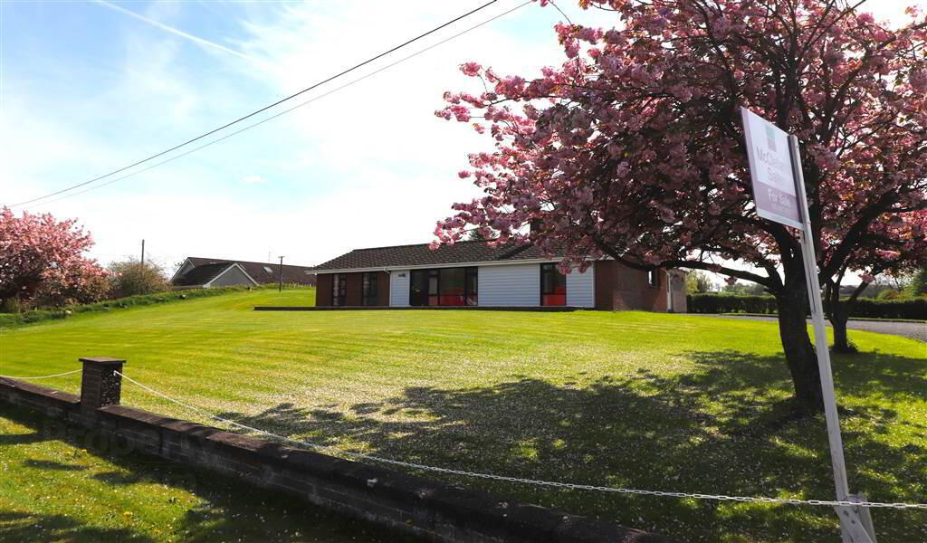 99 Banbridge Road 3 of 18