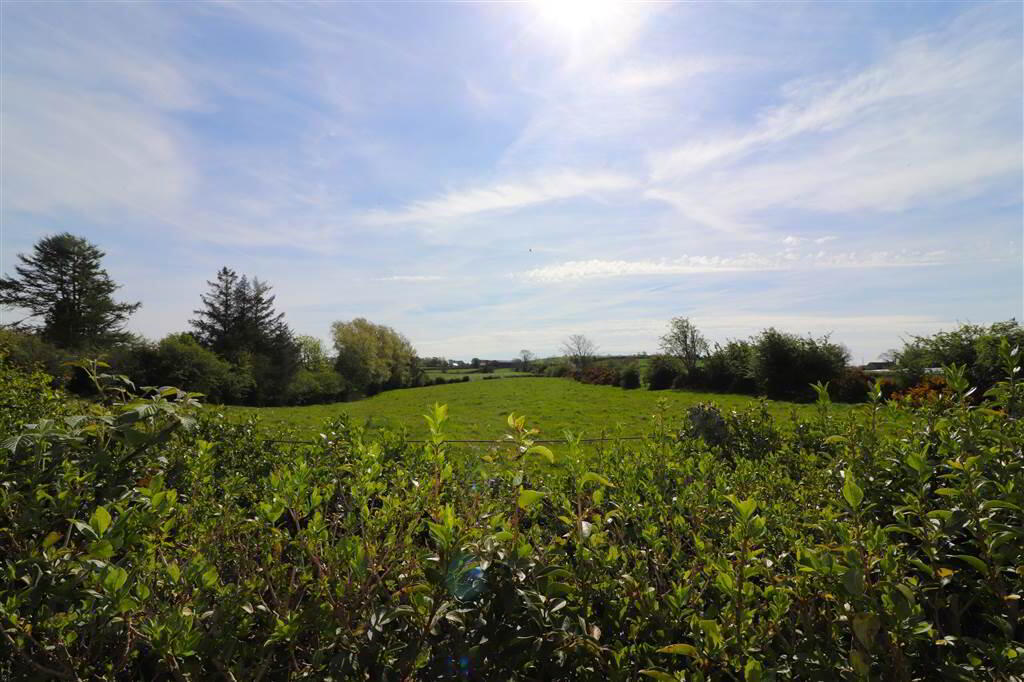 99 Banbridge Road 18 of 18