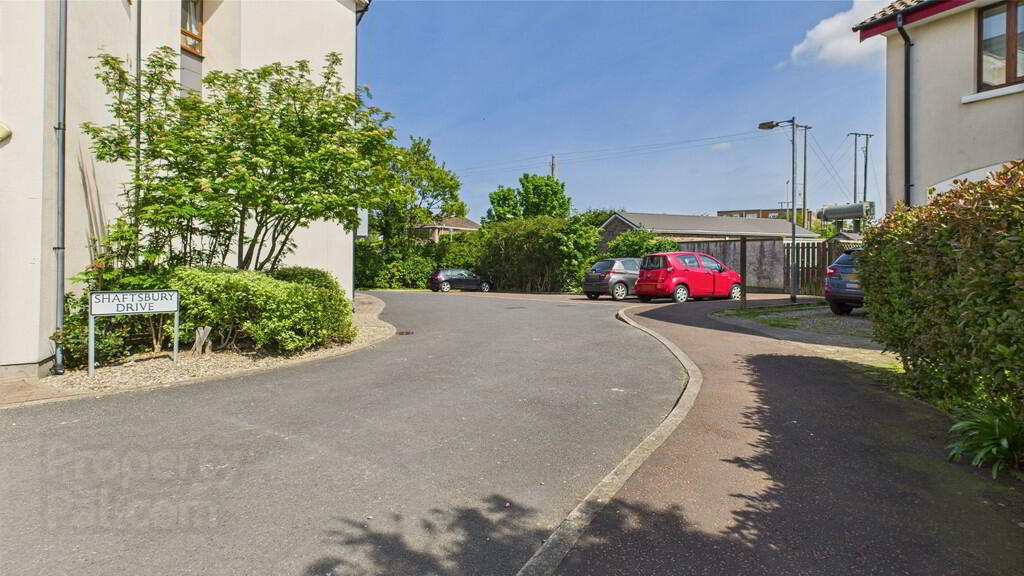 30 Shaftesbury Drive 12 of 12