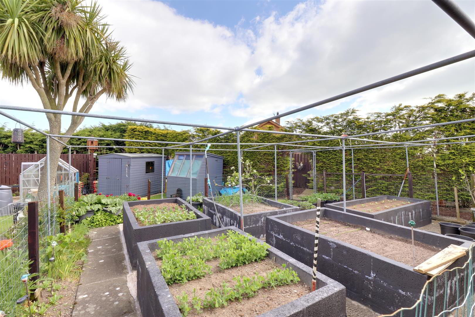 21 Thornleigh Avenue 19 of 21