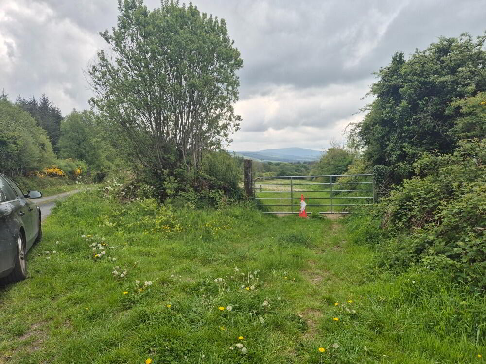 Slievereagh Lower 5 of 5