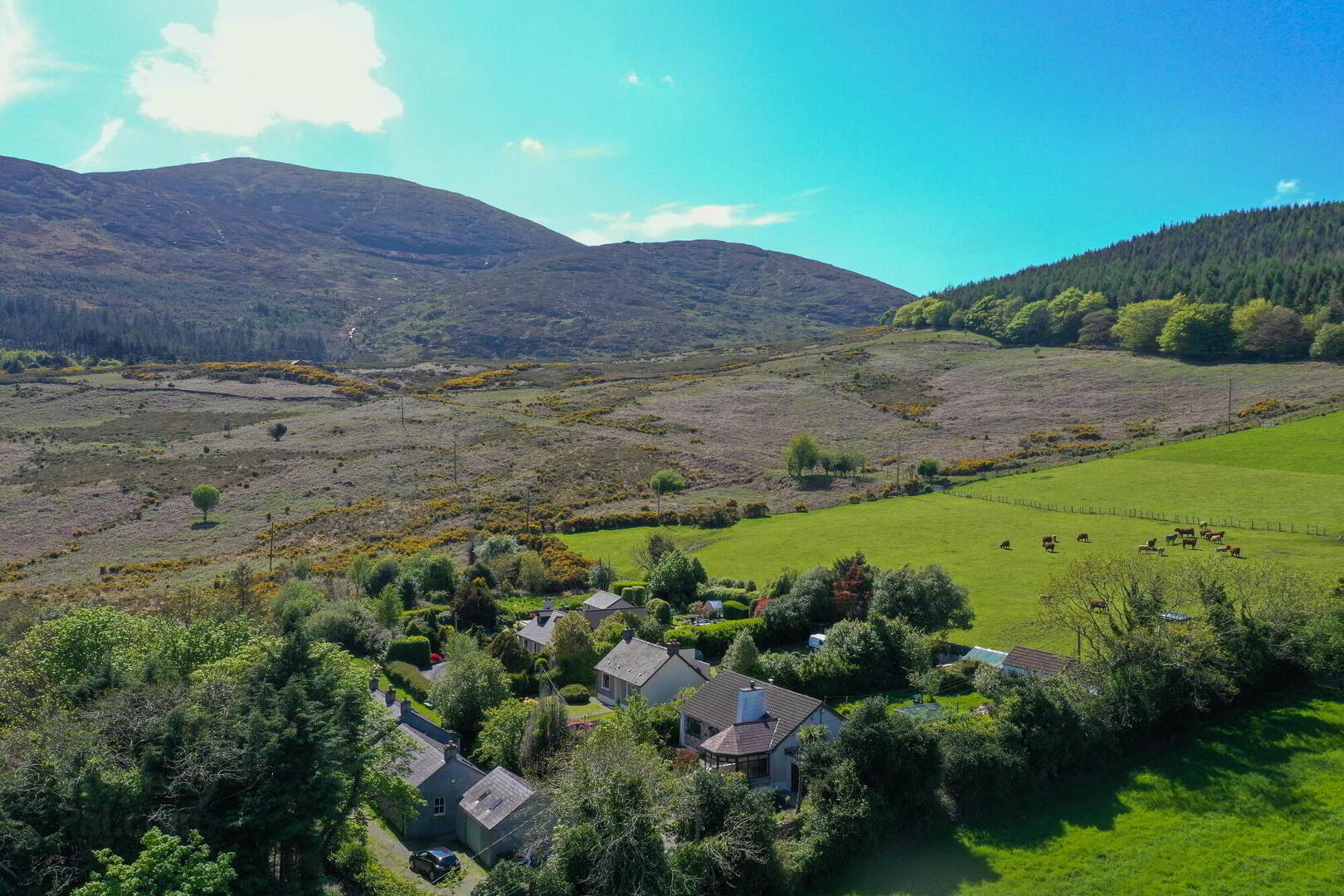 114 Tullybrannigan Road 32 of 33