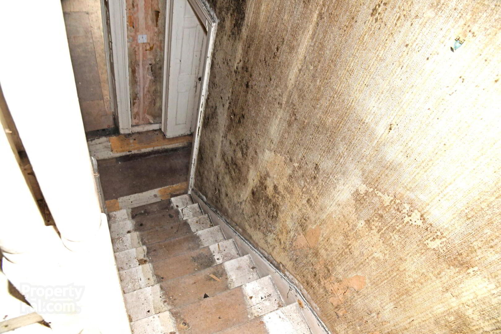 No. 4 St. Jarlath' S Place 18 of 31