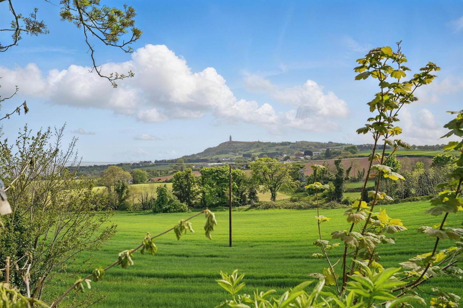 'Ard-Na-Greine', 110 Belfast Road 39 of 50