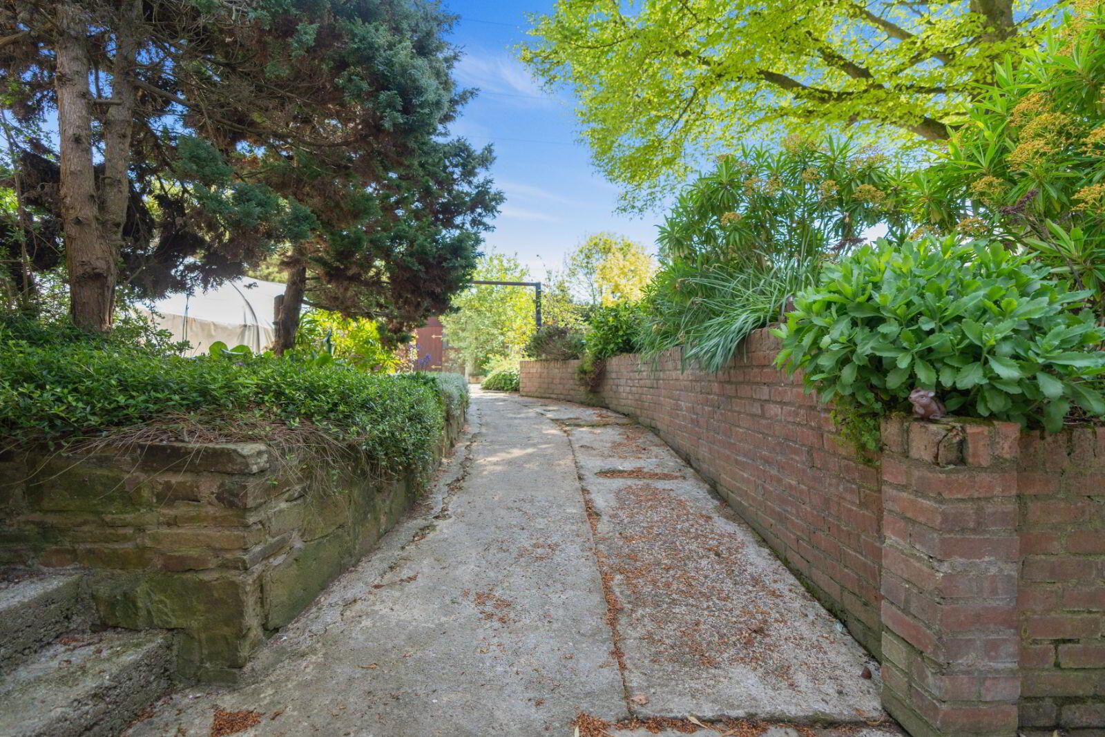 The Cottage, Carrigoon 14 of 24