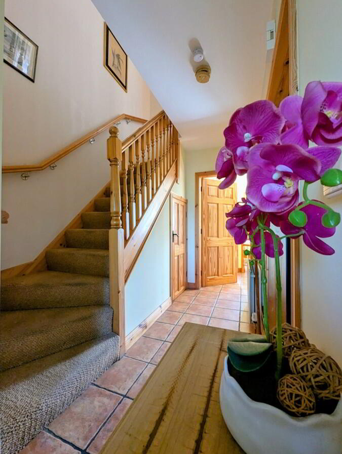 52 Knockbracken Drive 4 of 18