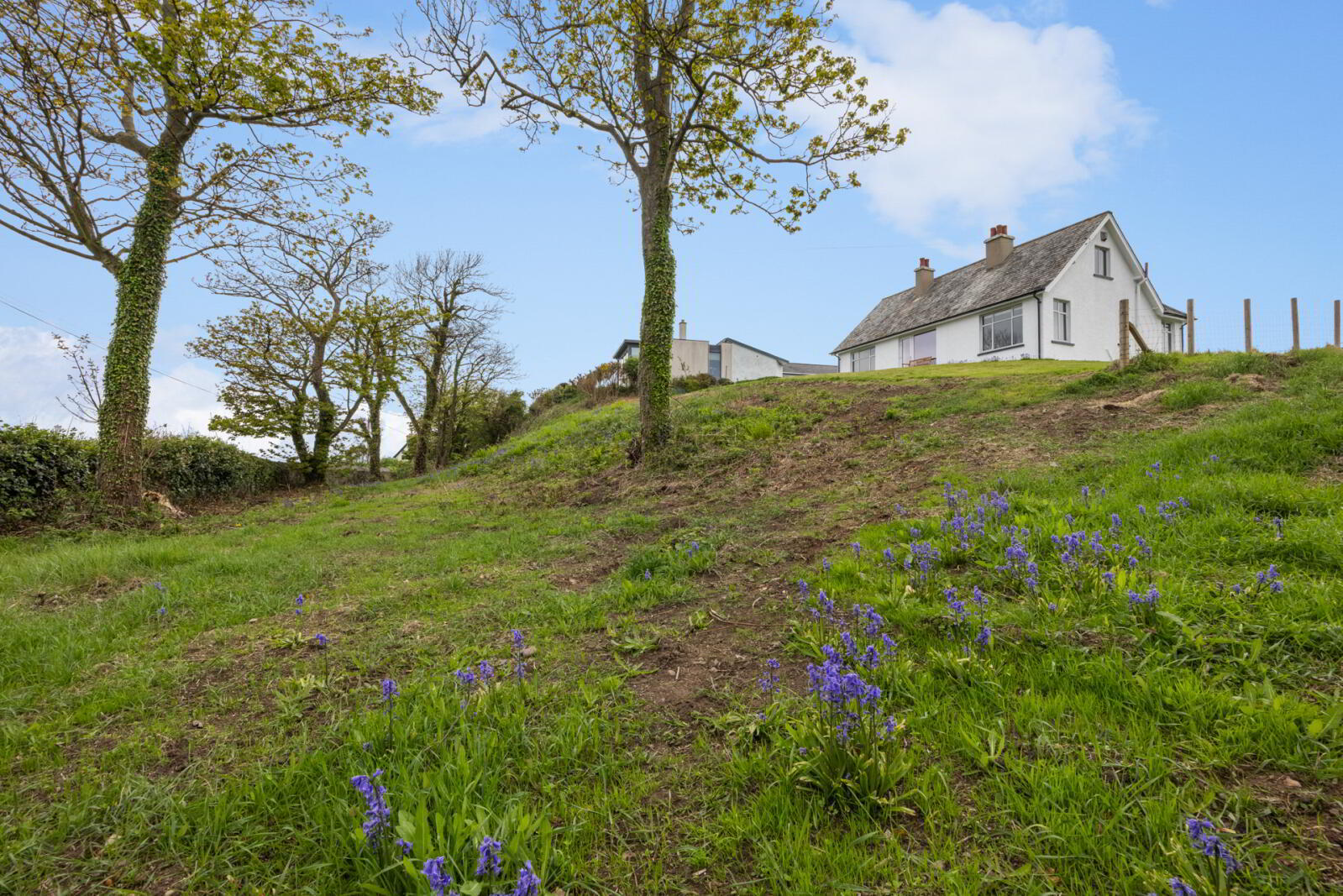 The Hide, 156 Portaferry Road 40 of 52
