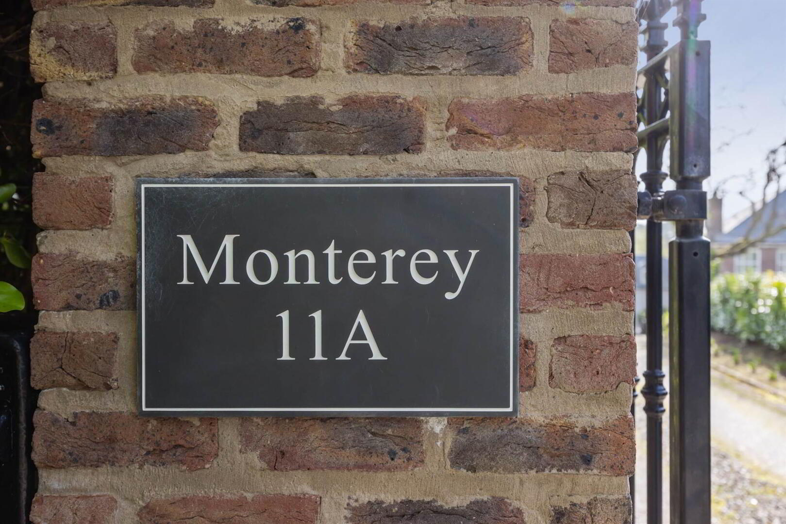 Monterey 6 of 82