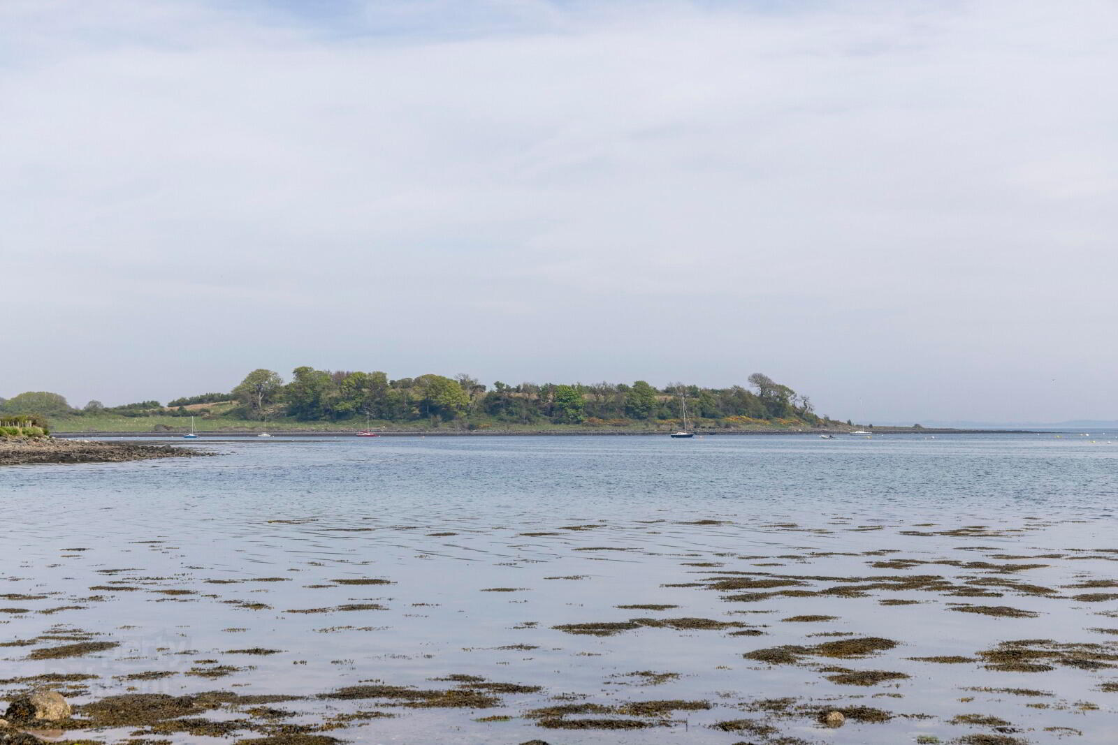'Holm Bay' Site Adjacent To, 23 Comber Road 3 of 50