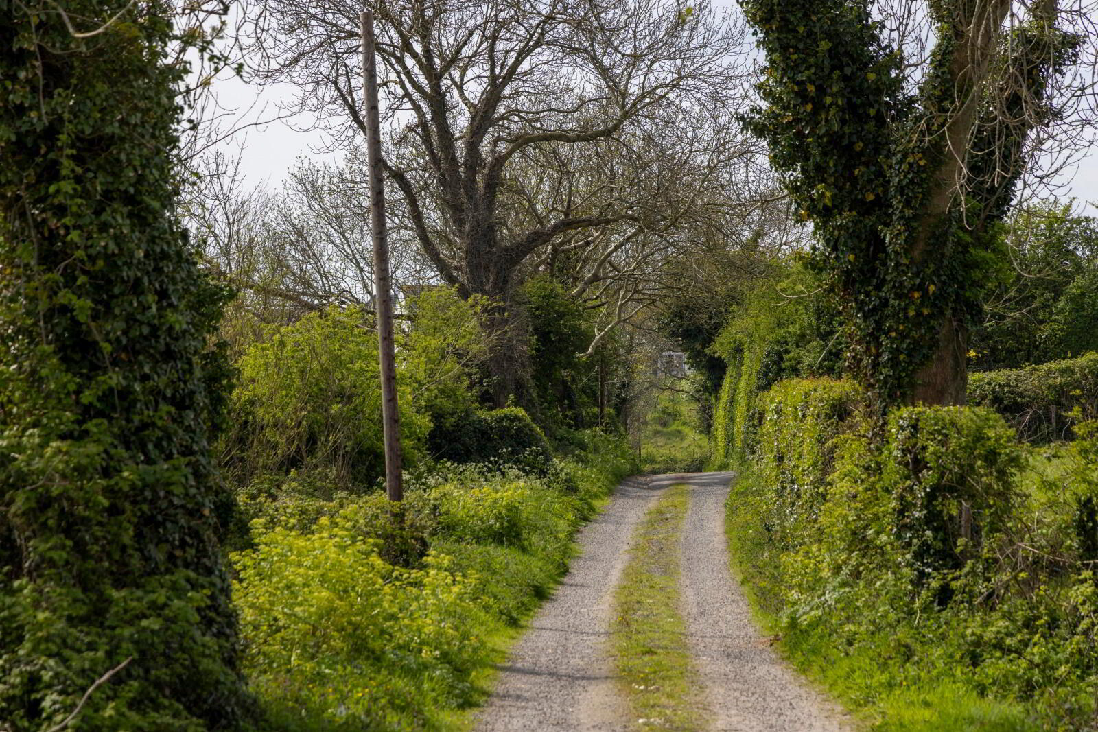 'Holm Bay' Site Adjacent To, 23 Comber Road 15 of 50