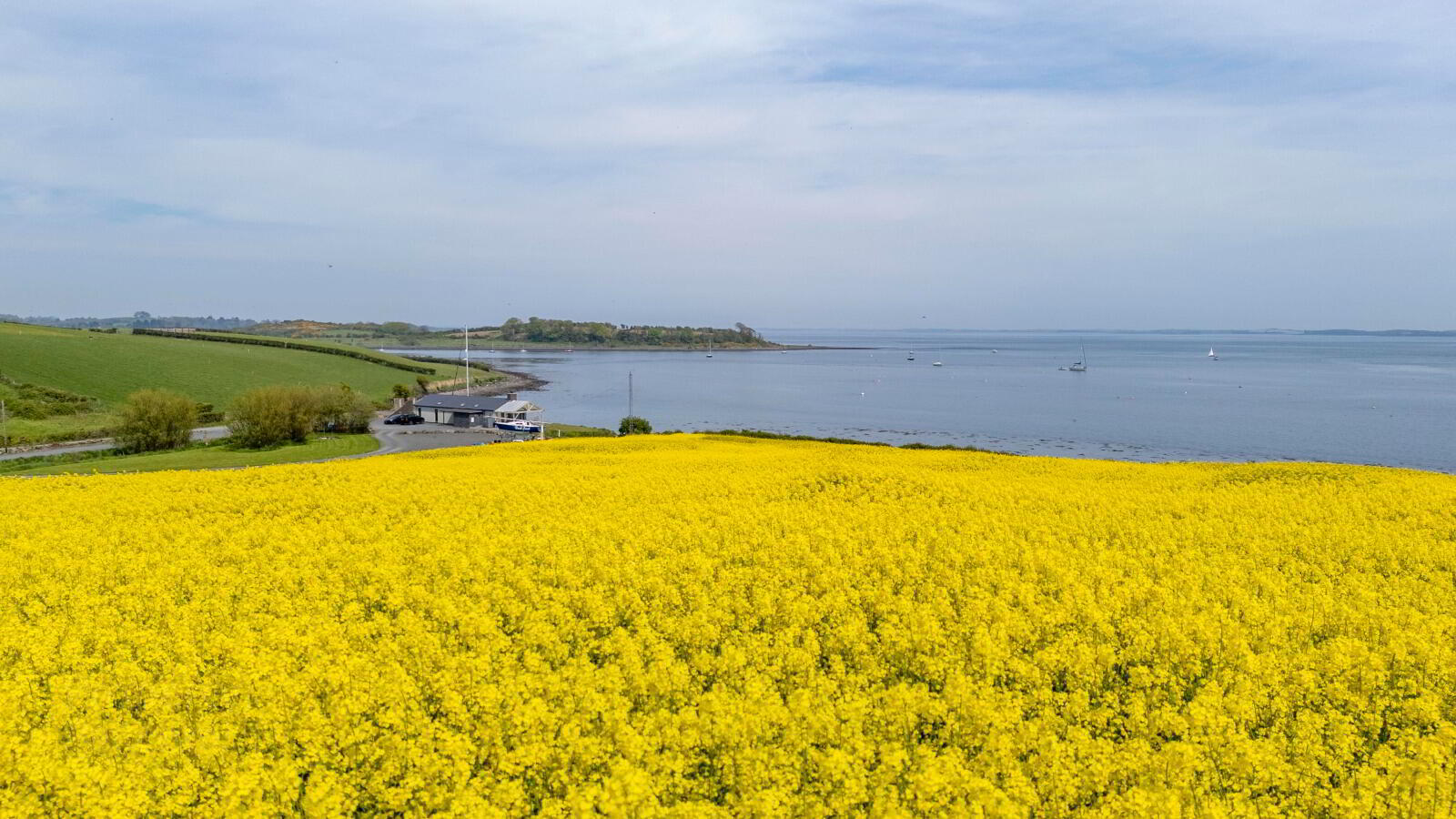 'Holm Bay' Site Adjacent To, 23 Comber Road 45 of 50