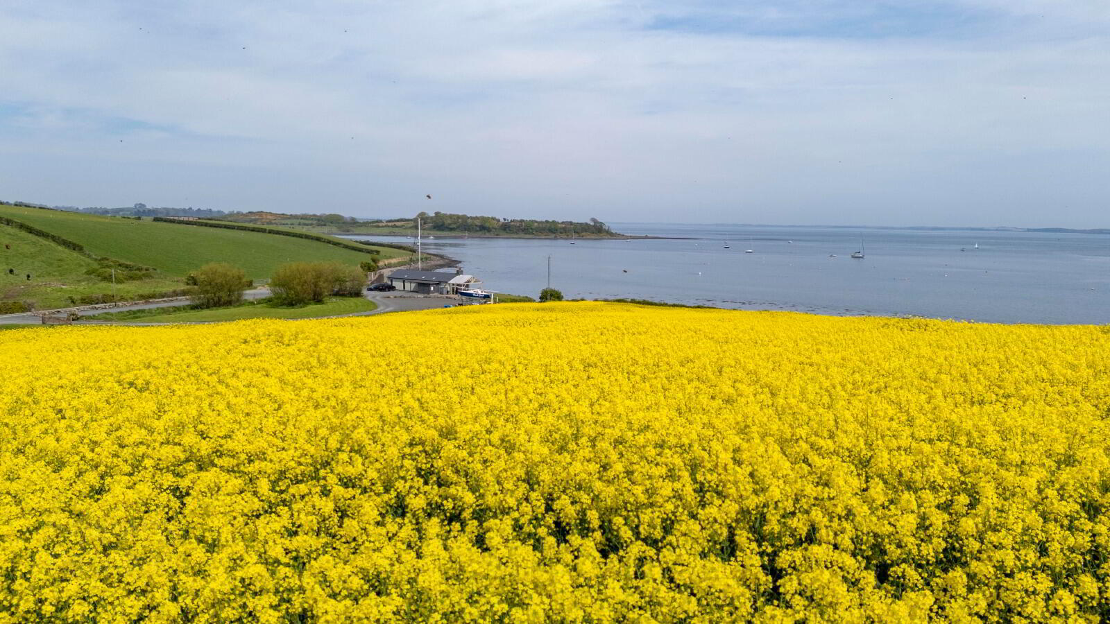 'Holm Bay' Site Adjacent To, 23 Comber Road 44 of 50