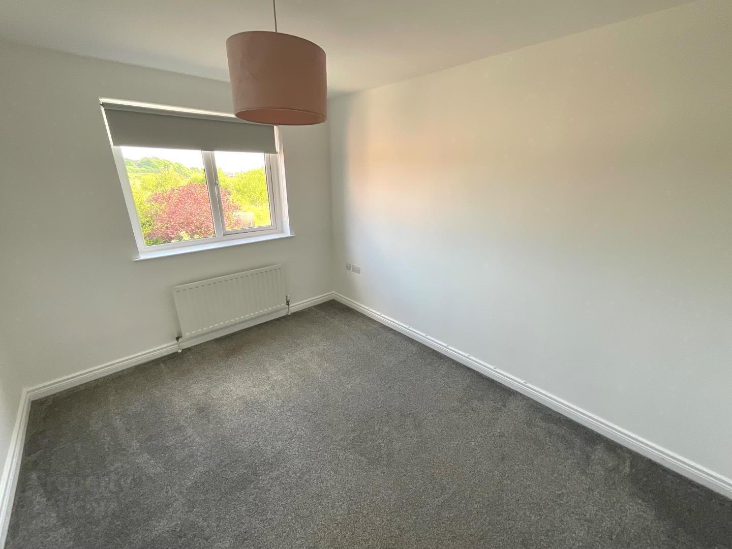 Apartment 6 187 West Circular Road 5 of 9