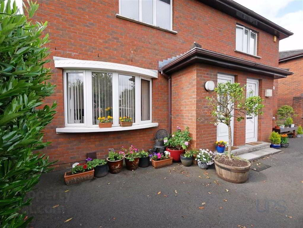 Apt 1, 14 Hillsborough Road 2 of 13