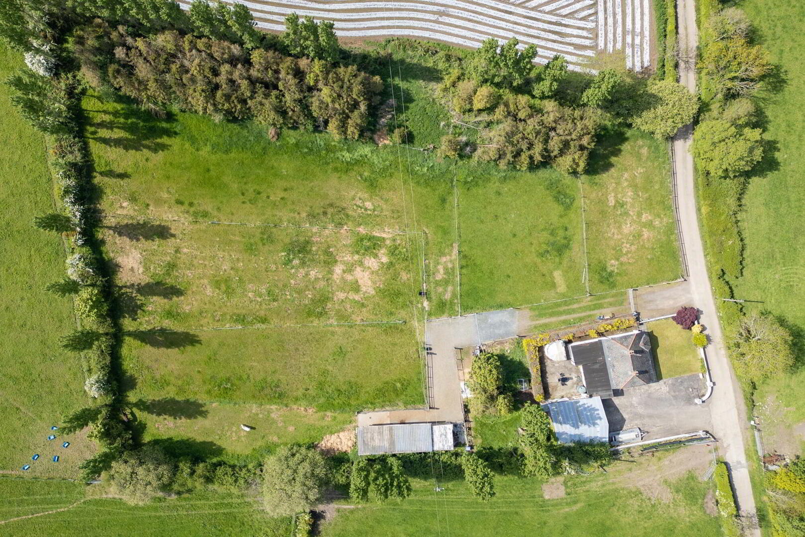 A Country Cottage With Paddock, Stables And Garage, 3 Hillsborough Road 11 of 19