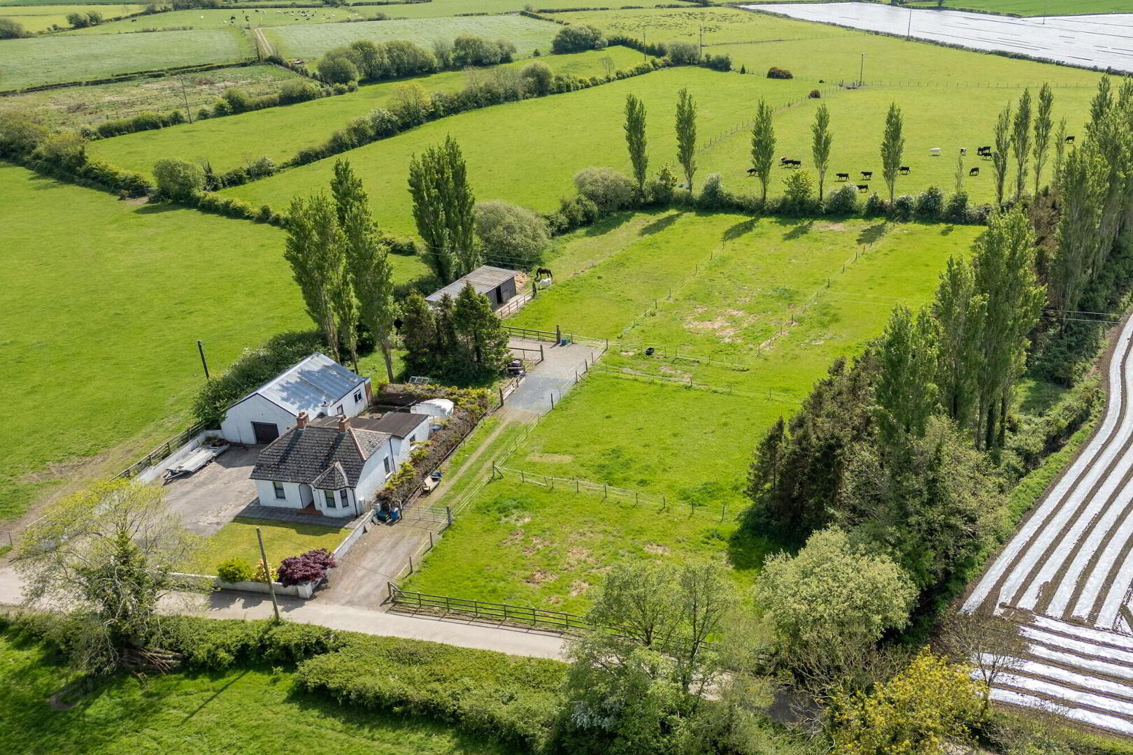 A Country Cottage With Paddock, Stables And Garage, 3 Hillsborough Road 5 of 19