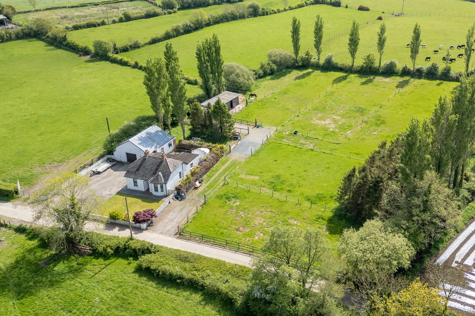 A Country Cottage With Paddock, Stables And Garage, 3 Hillsborough Road 4 of 19